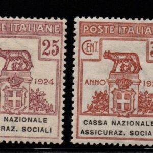 REGNO D'ITALIA CASSA NAZ ASSICURAZIONI SOCIALI 1924 MNH