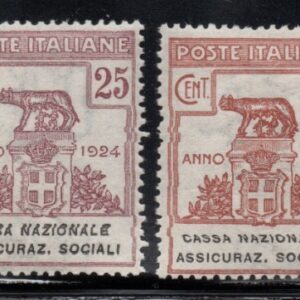 REGNO D'ITALIA CASSA NAZIONALE ASSICURAZIONE SOCIALE 1924 MNH CERT RAYBAUDI