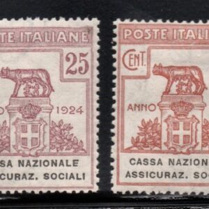 REGNO D'ITALIA CASSA NAZIONALE ASSICURAZIONI SOCIALI 1924 MNH CERT RAYBAUDI
