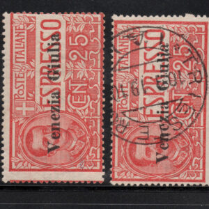 REGNO D'ITALIA - VENEZIA GIULIA - 1919 - ANNULLATO