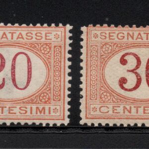 REGNO D'ITALIA - SEGNATASSE SERIETTA - 1894 - MNH