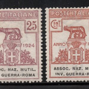 REGNO D'ITALIA - ASS. NAZ. MUTILATI GUERRA - 1924 - MNH
