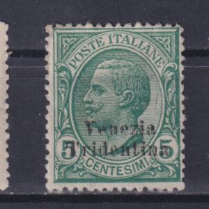 REGNO D'ITALIA 1918 VENEZIA TRIDENTINA M.N.H. VARIETÀ