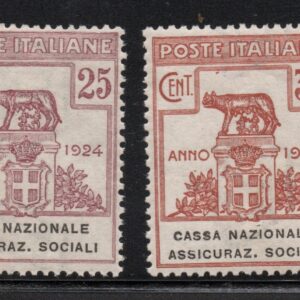 REGNO - CASSA NAZ ASS SOC - 1924 - MNH - cert. Cilio